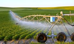 الزراعة تعلن عن خطة شتوية تشمل 4.5 ملايين دونم باستخدام الري الحديث